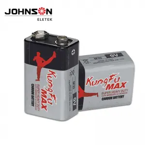 6F22 9V Maximum Power Carbon Zinc Battery 9 Volt Leak-Proof Dry Battery Ultra Long-Lasting for Smoke Detectors