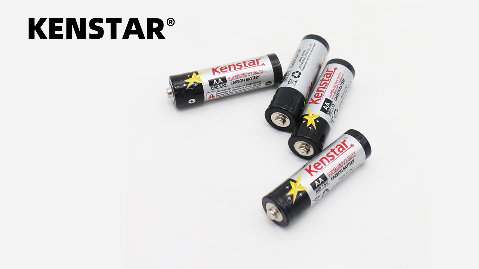 Carbon Zinc Battery 16.9