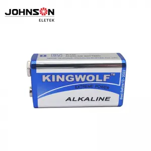 6LR61 9V Alkaline Battery, Disposable Battery for Smoke Alarms, Guitar Pickups, Microphones and More