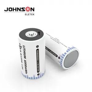 USB Rechargeable D battery 1.5V Type-C Port Charging USB Quick Charge Batteries Pack