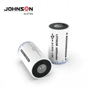 USB Rechargeable D battery 1.5V Type-C Port Charging USB Quick Charge Batteries Pack